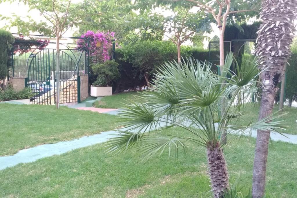 Apartamento Moderno Benidorm Dış mekan fotoğraf
